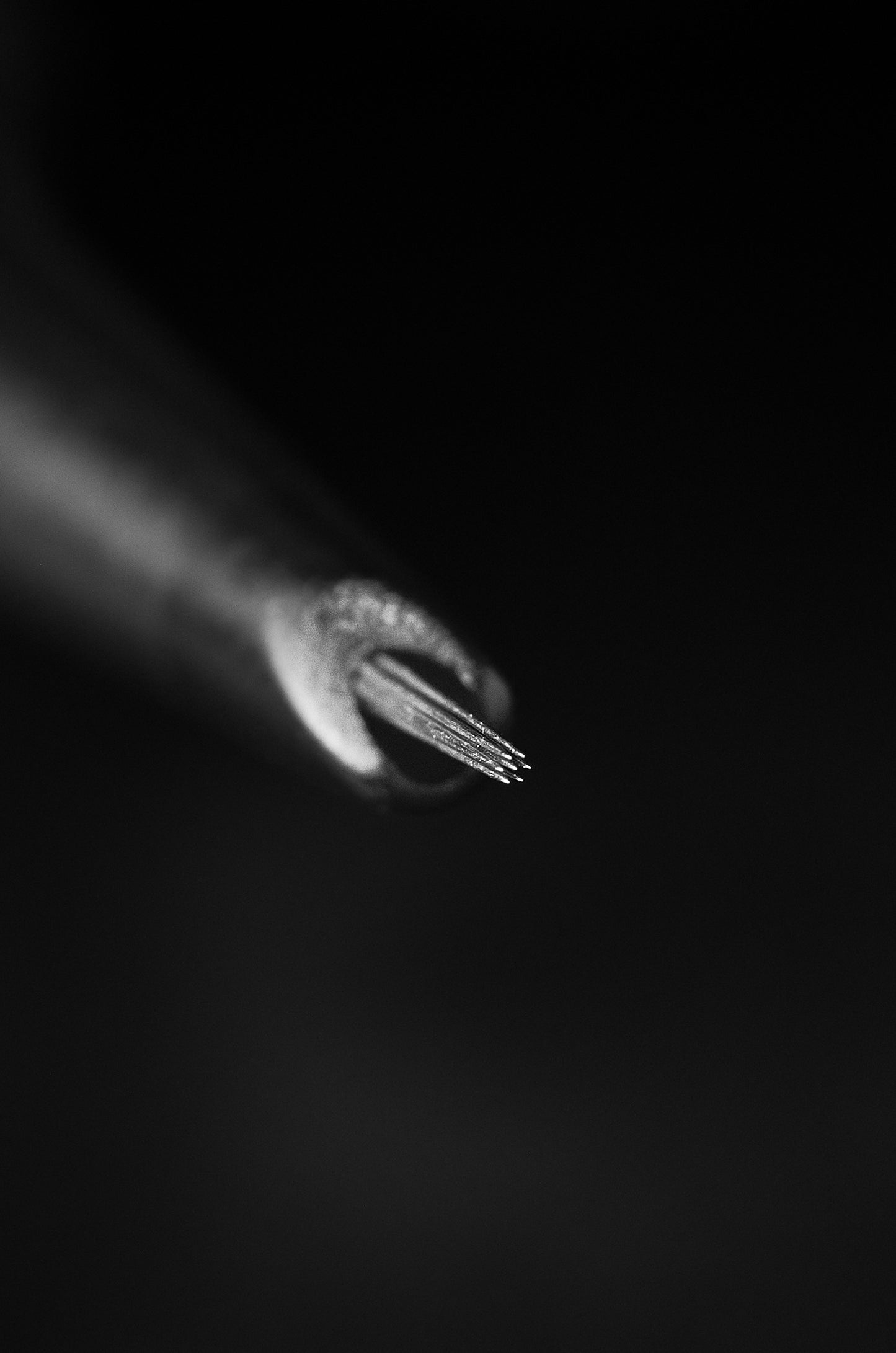 07RS Caja por 20 unidades